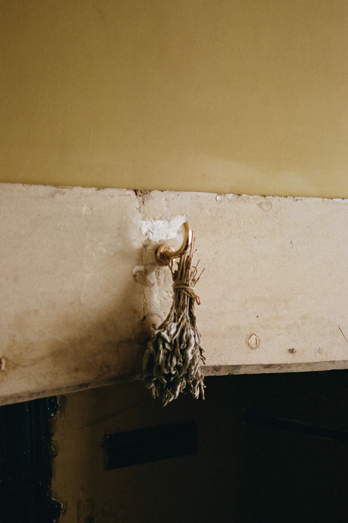 Maha Alavi Studio | Fauna Wall Hook