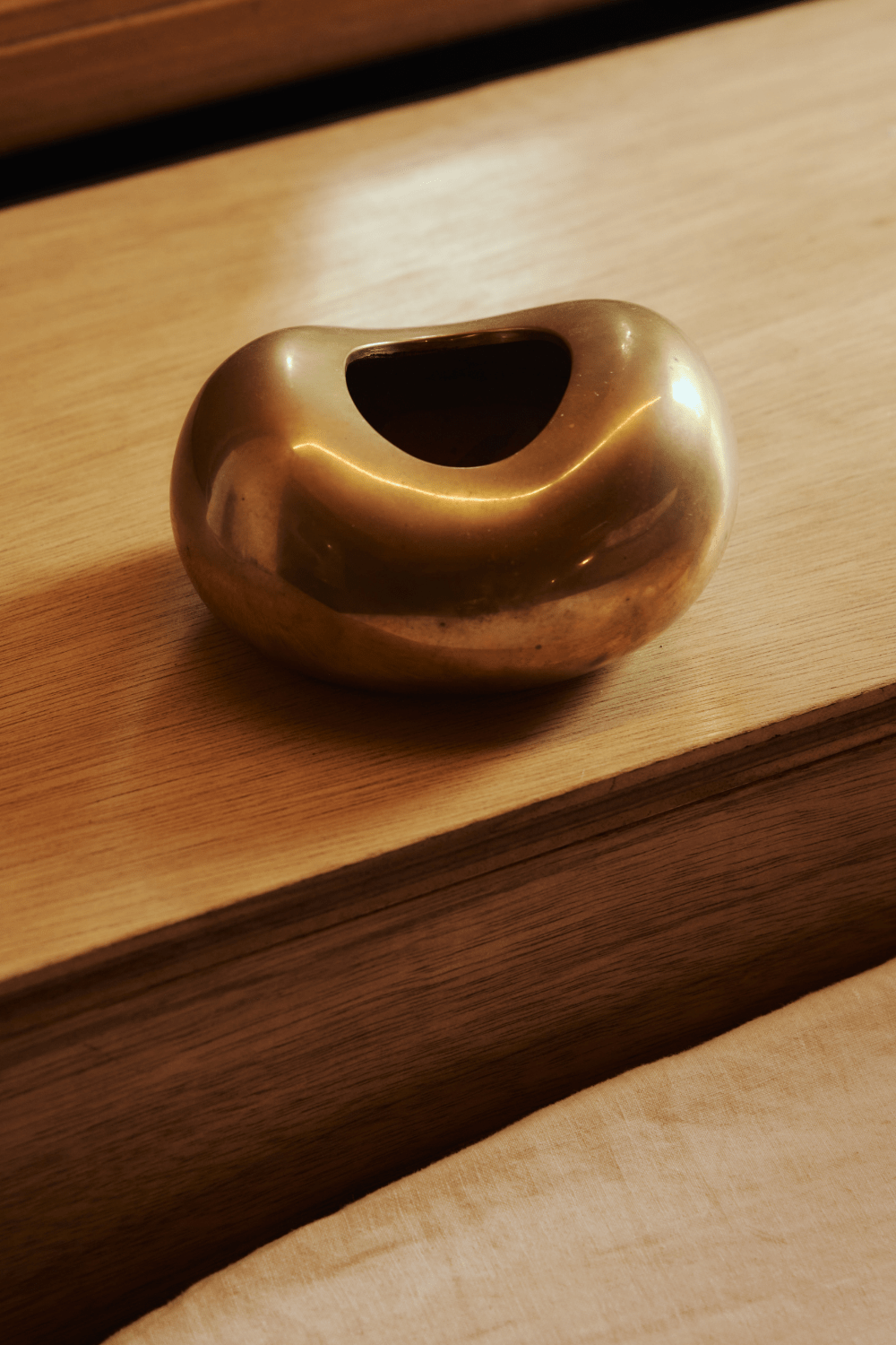 Dinosaur Designs - Metal Bean Vase - Marz Designs - Dinosaur designs - Dinosaur Designs - Metal Bean Vase