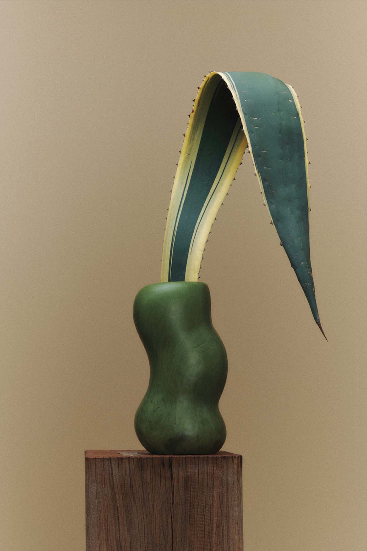 Dinosaur Designs Valley Vase, Olive - Marz DesignsMarz Designs