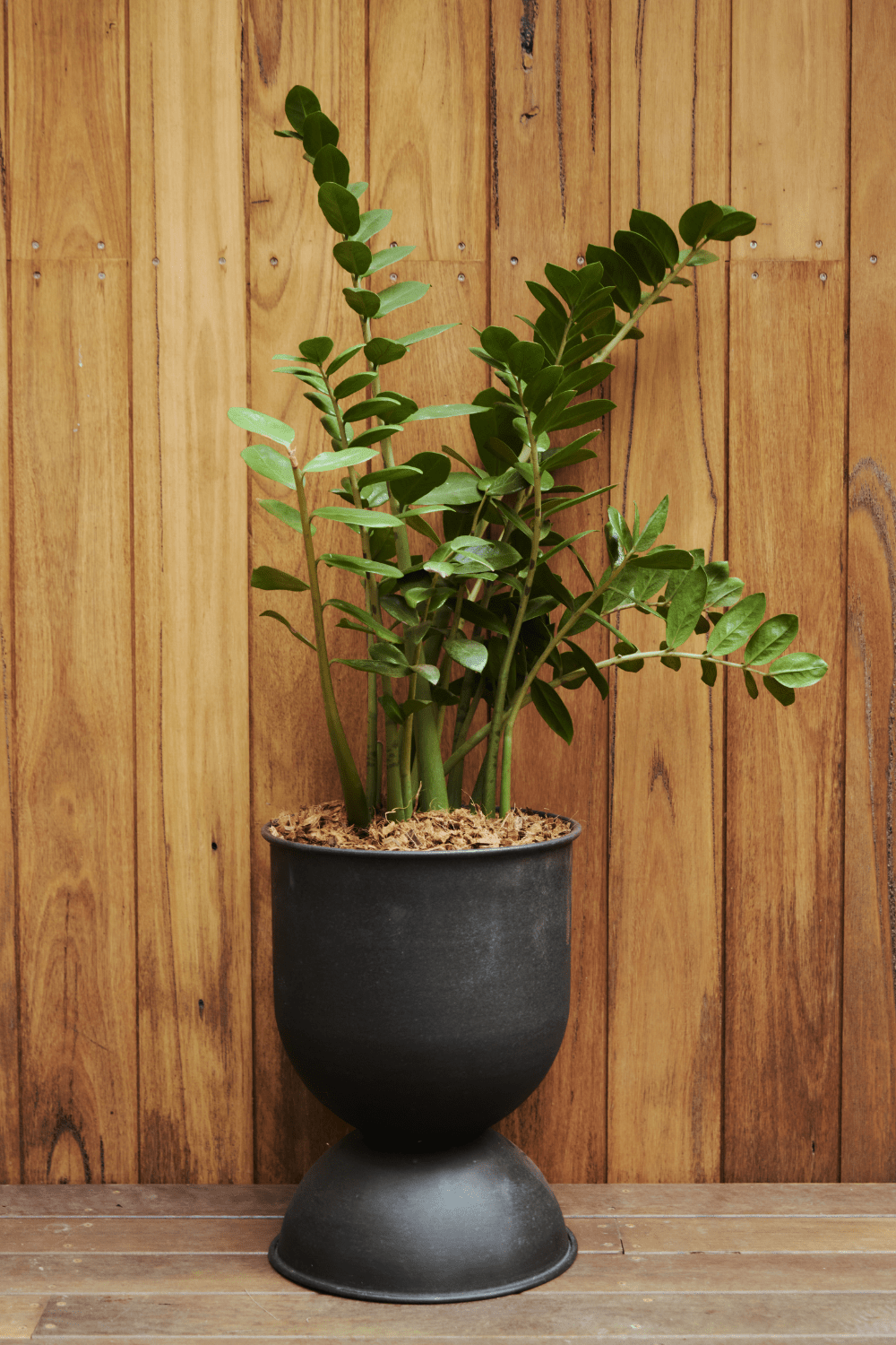 Ferm Living Hourglass Pot - Large - Black - Marz Designs - Ferm Living - Ferm Living Hourglass Pot - Large - Black