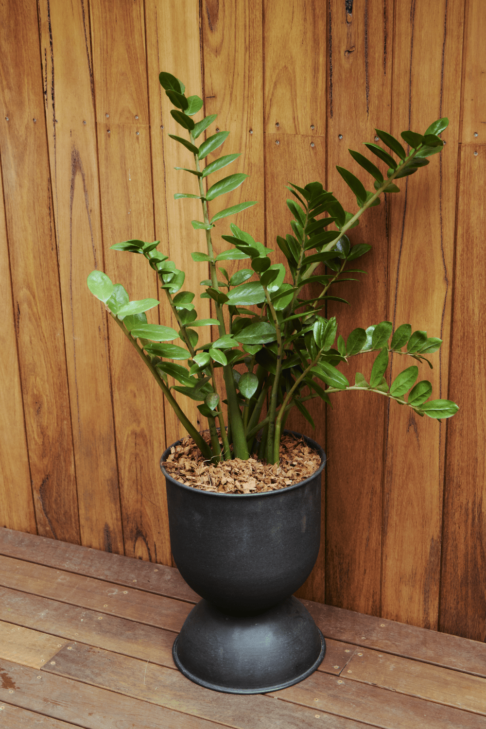 Ferm Living Hourglass Pot - Large - Black - Marz Designs - Ferm Living - Ferm Living Hourglass Pot - Large - Black