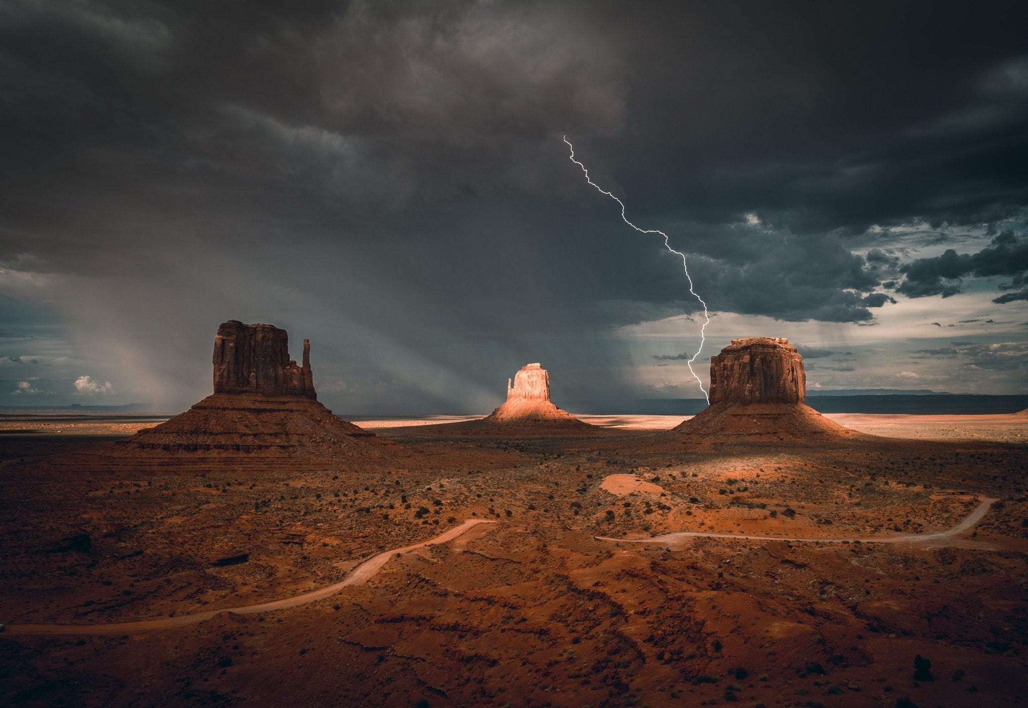 Cues From Nature: Bringing Design Ideas to Life