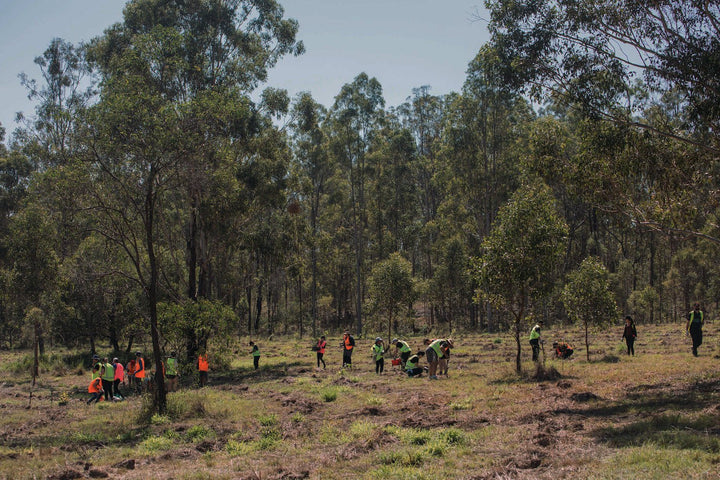 The Future is Green - Marz Designs 