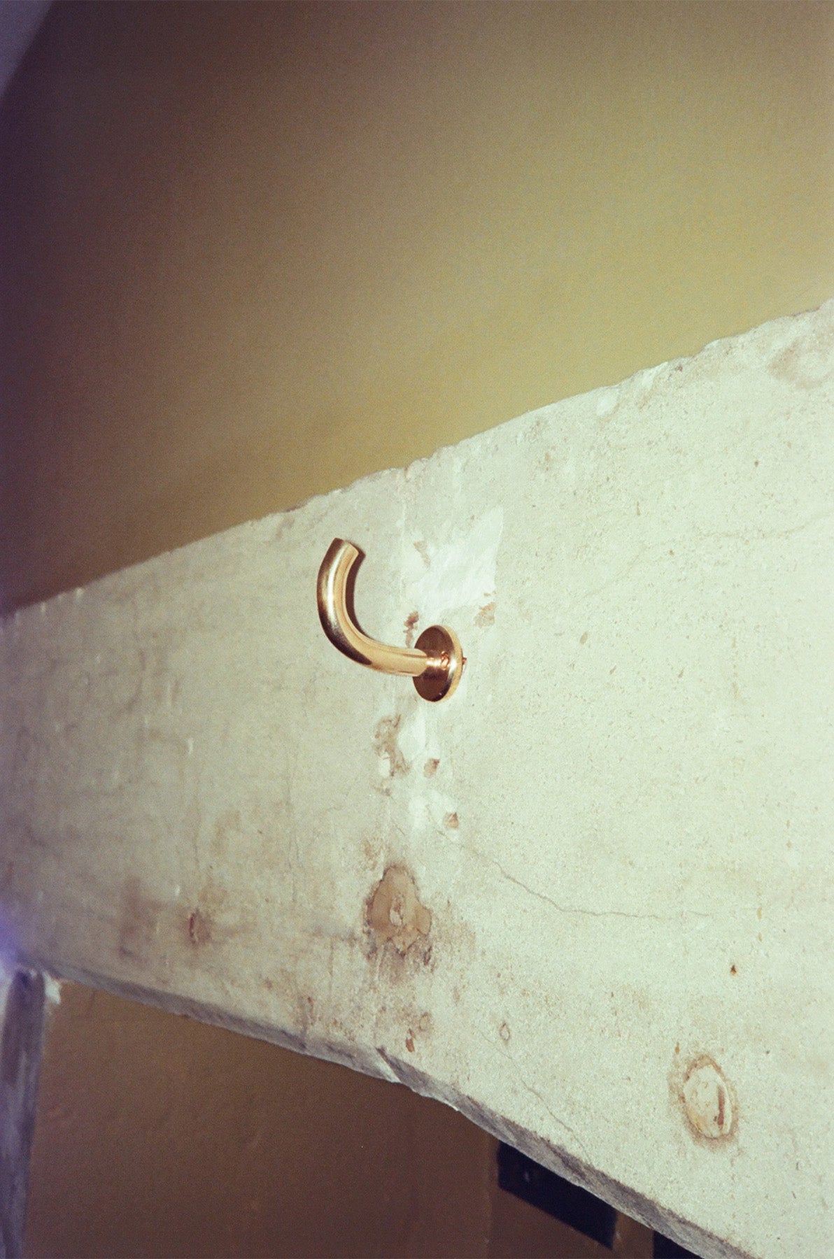 Maha Alavi Studio | Fauna Wall Hook
