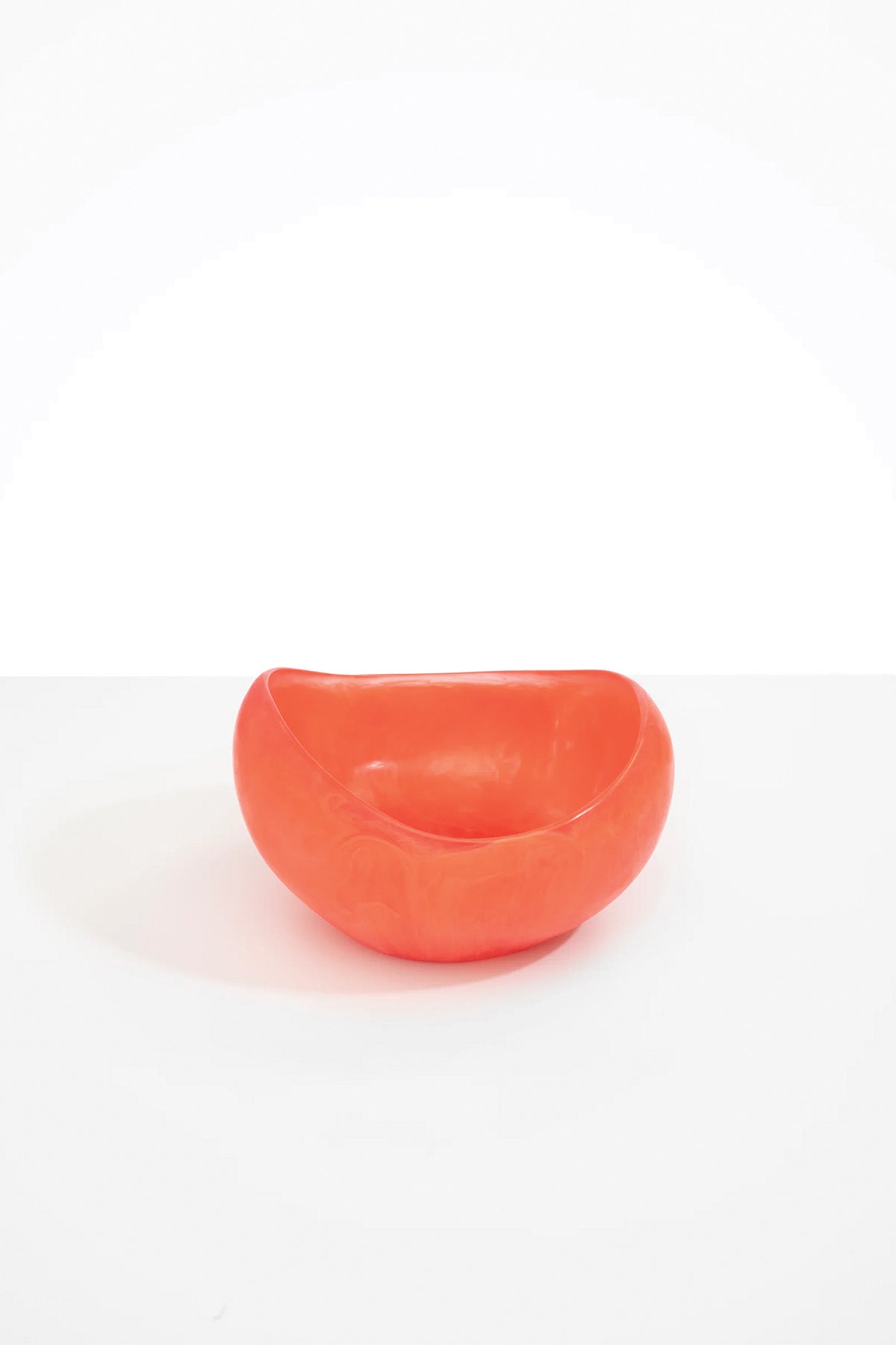 Dinosaur Designs Large Beetle Bowl