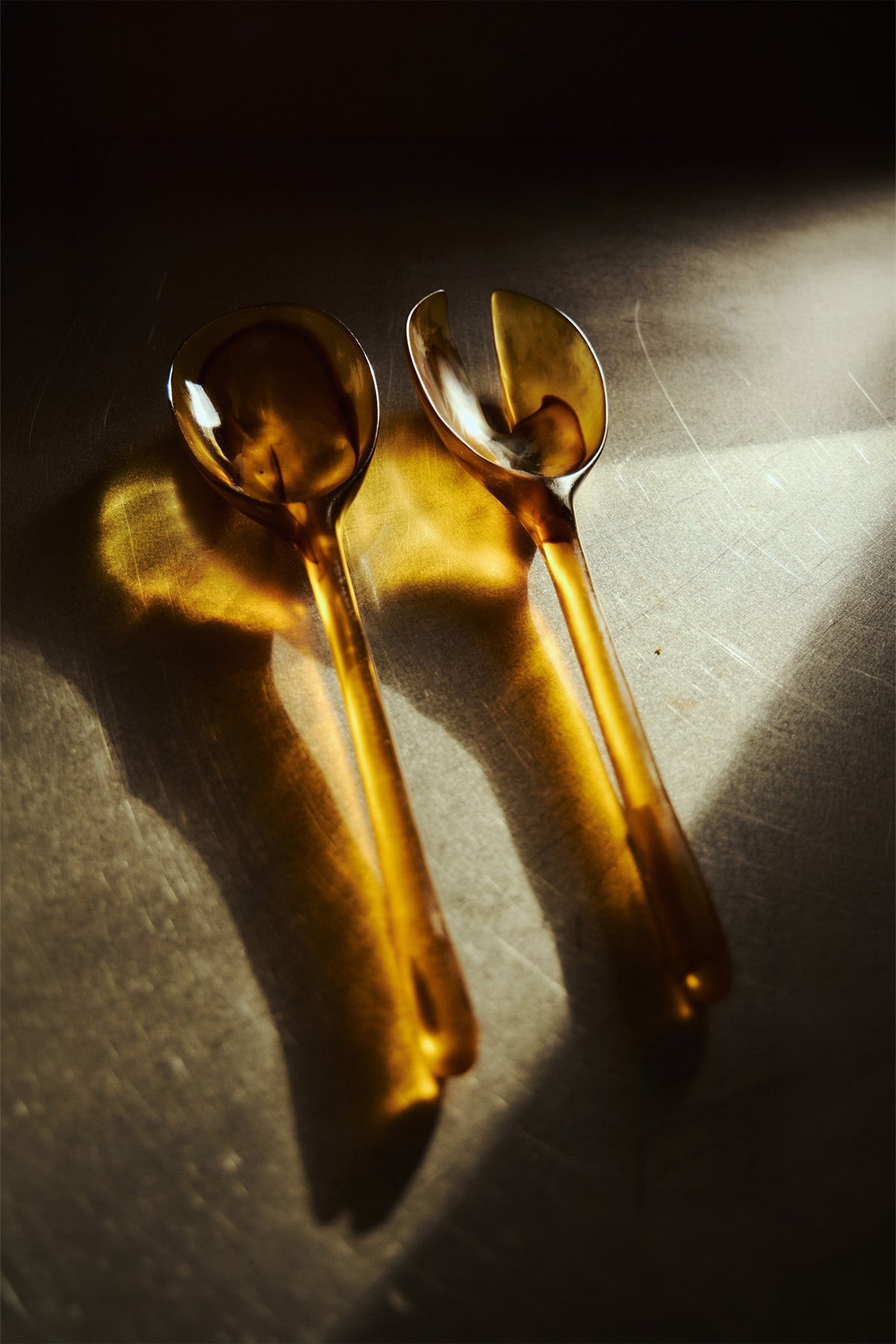 Dinosaur Designs · Long Stone Servers · Tortoise - Marz Designs - Dinosaur designs - Dinosaur Designs · Long Stone Servers · Tortoise