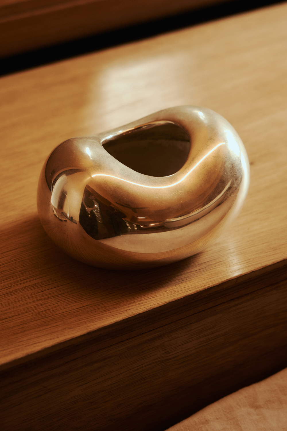 Dinosaur Designs - Metal Bean Vase - Marz Designs - Dinosaur designs - Dinosaur Designs - Metal Bean Vase