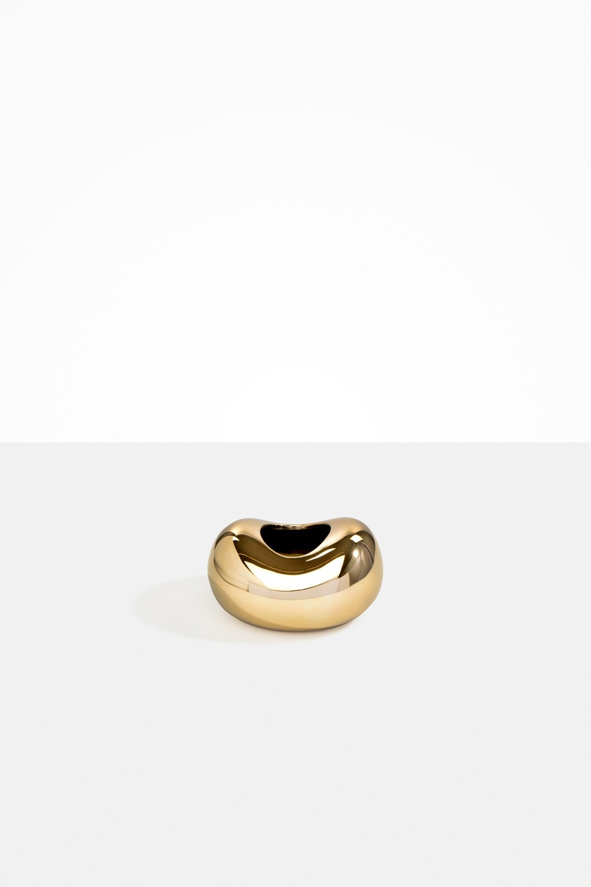 Dinosaur Designs - Metal Bean Vase - Marz DesignsDinosaur designs