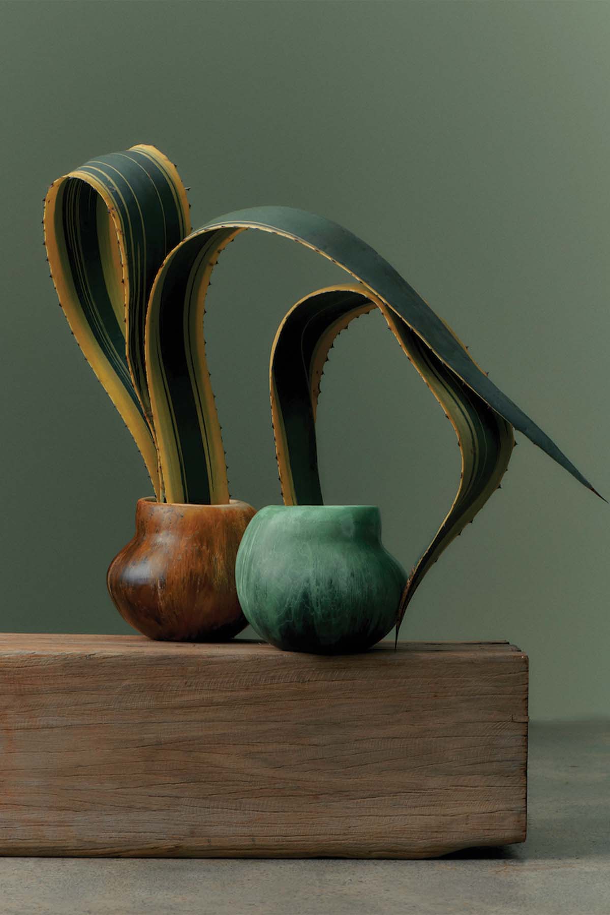 Dinosaur Designs - Moss Vase - Marz Designs - Dinosaur designs - Dinosaur Designs - Moss Vase