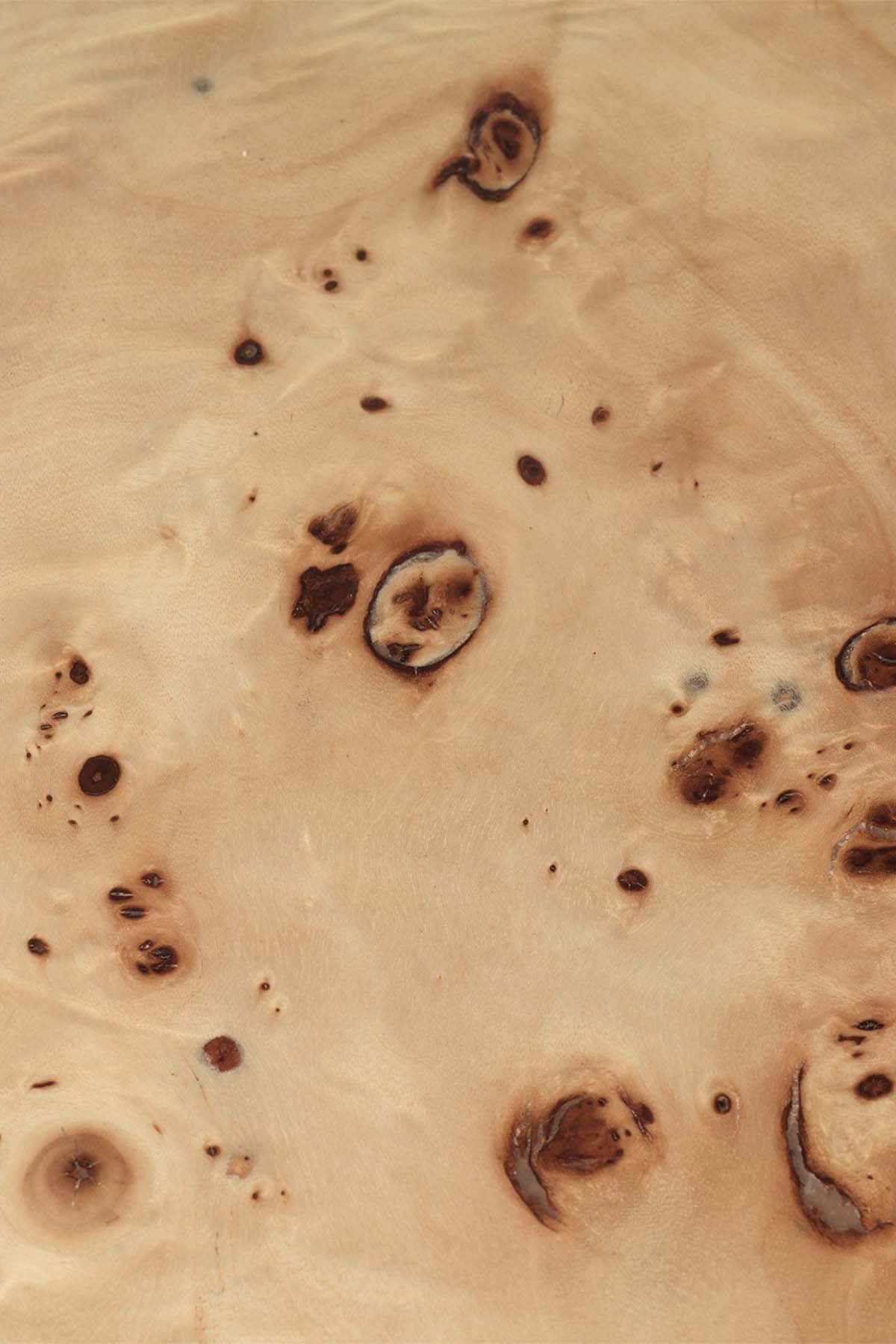 Ferm Living Burl Coffee Table - Marz Designs - Ferm Living -