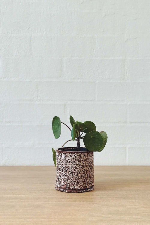 Jenn Johnston Ceramics Speckled Planter - Small