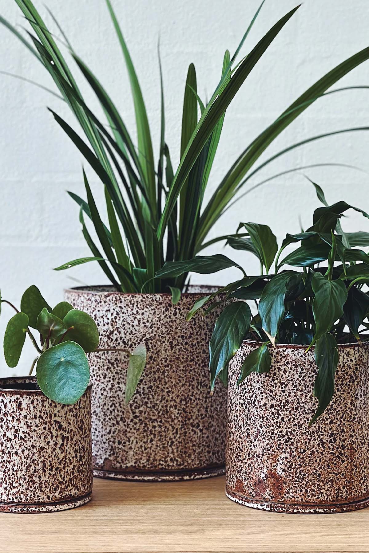 Jenn Johnston Ceramics Speckled Planter - Small - Marz Designs - Jenn Johnston Ceramics -
