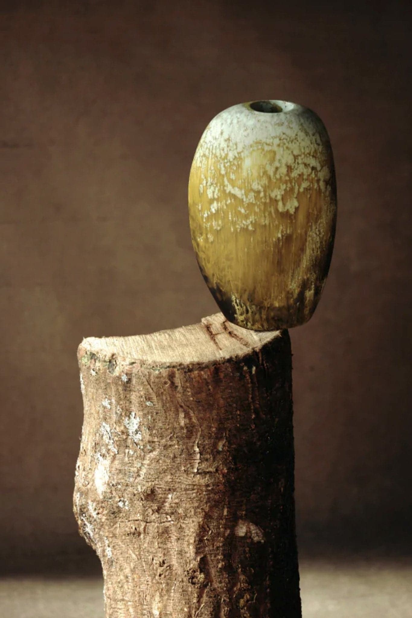 Dinosaur Designs Bold Skipping Stone Vase - Marz Designs AUDinosaur designs