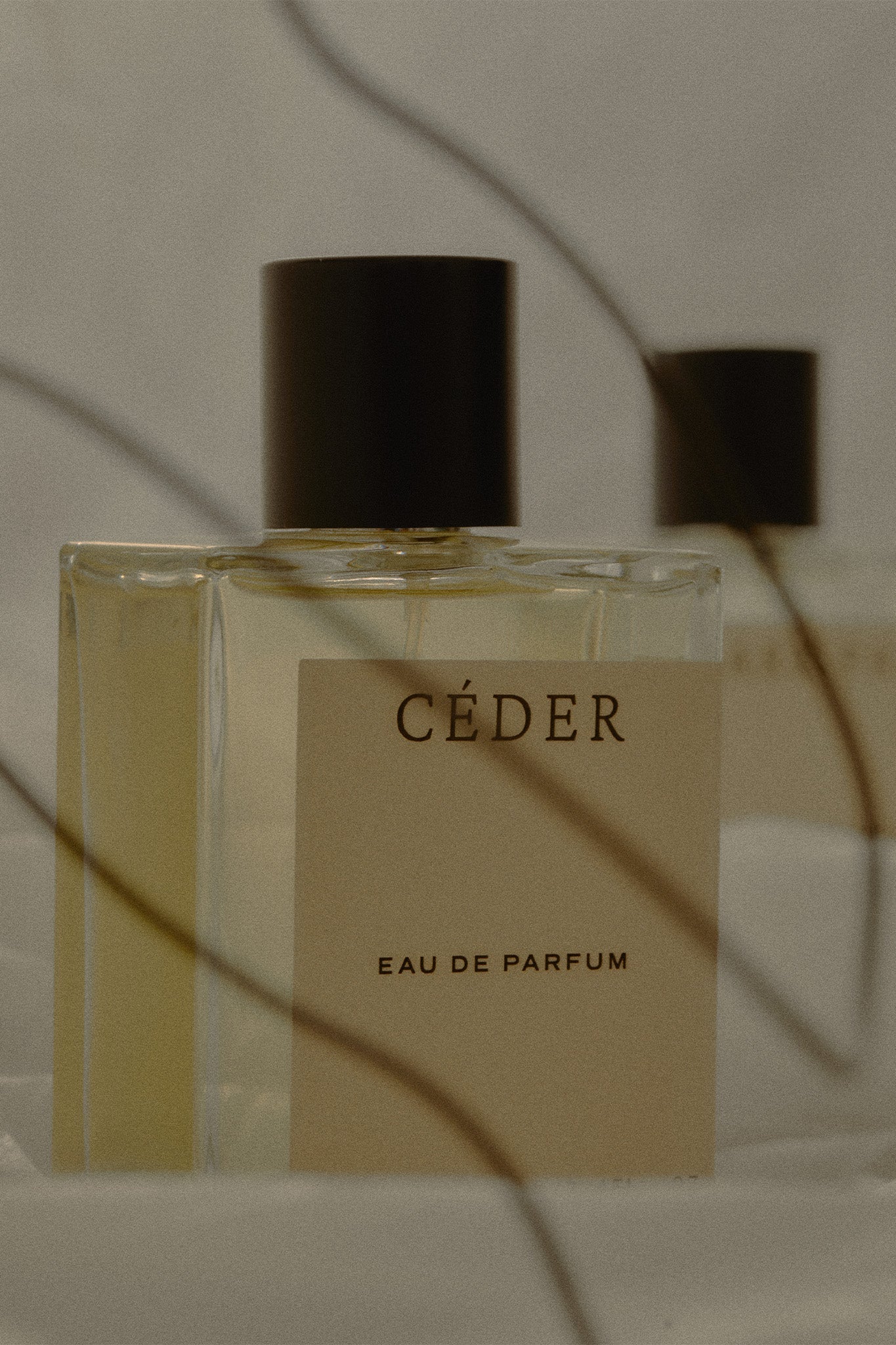 LOESS CEDER EAU DE PARFUM - Marz Designs - LOESS -