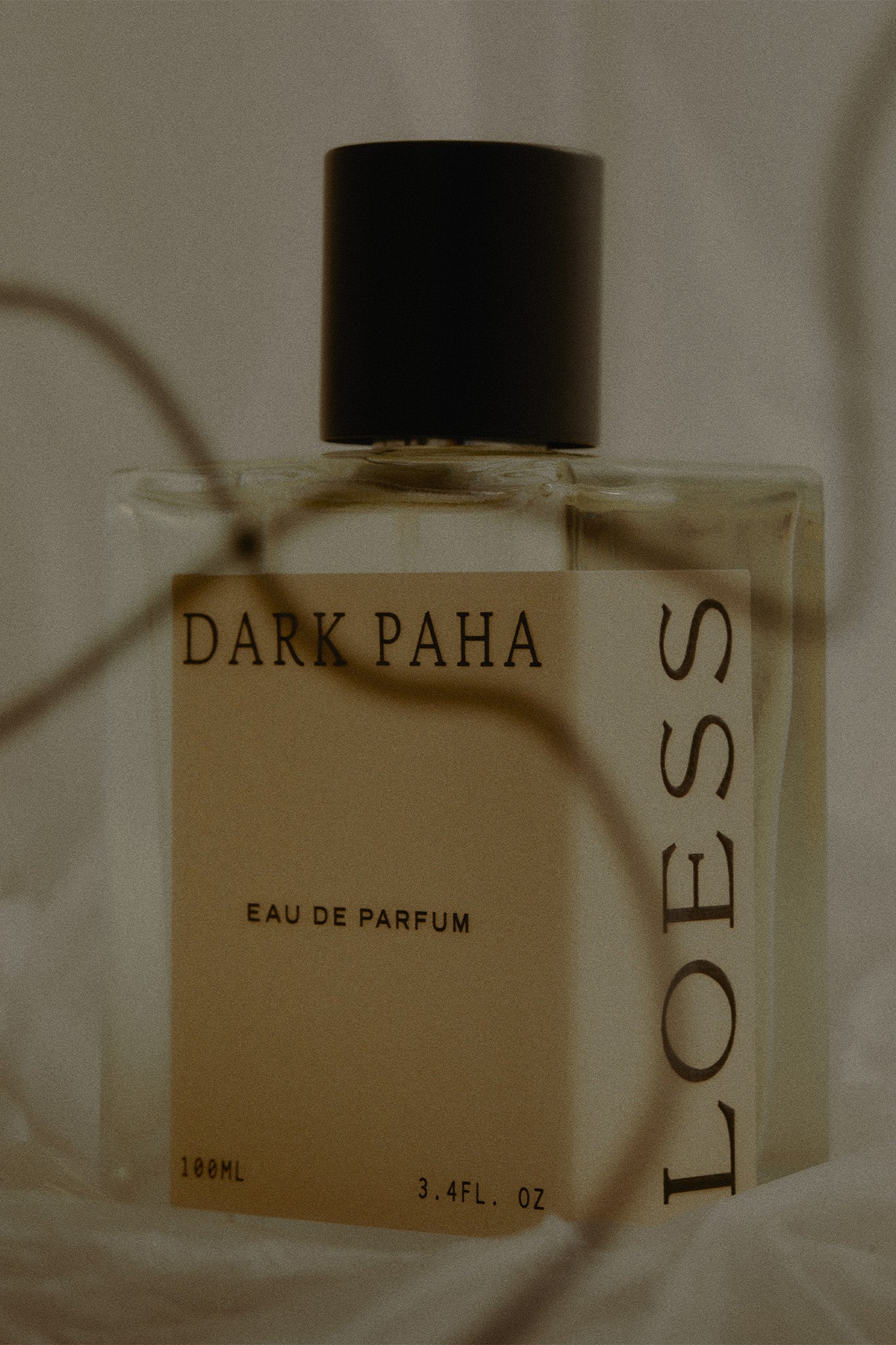 LOESS DARK PAHA EAU DE PARFUM - Marz DesignsLOESS