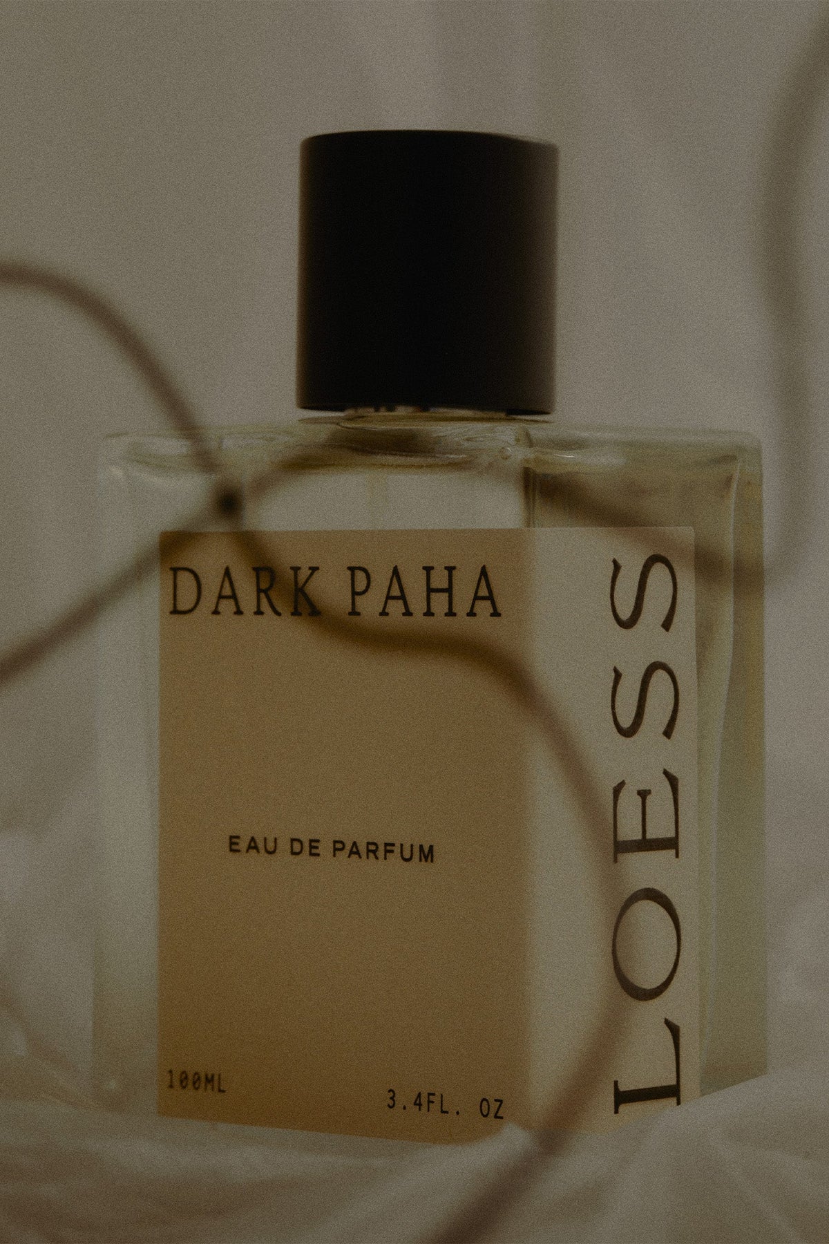 LOESS DARK PAHA EAU DE PARFUM - Marz Designs - LOESS -